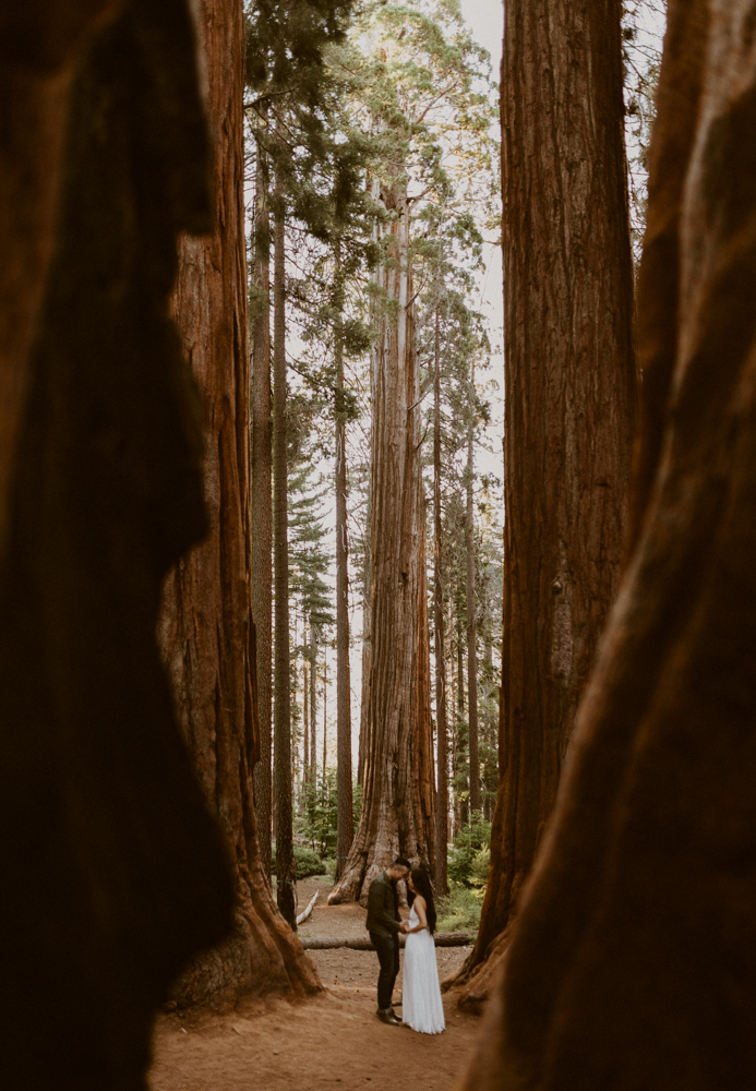 Sequoia National Park engagement photos