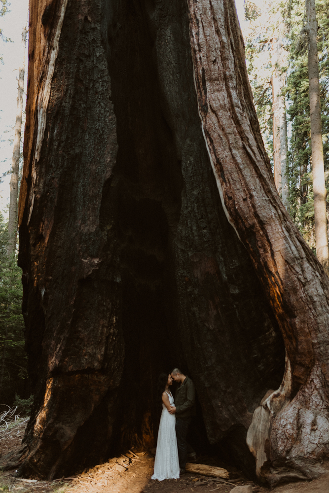 Sequoia National Park engagement photos