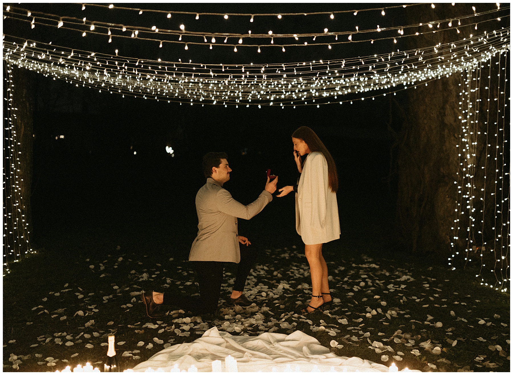 backyard string light proposal