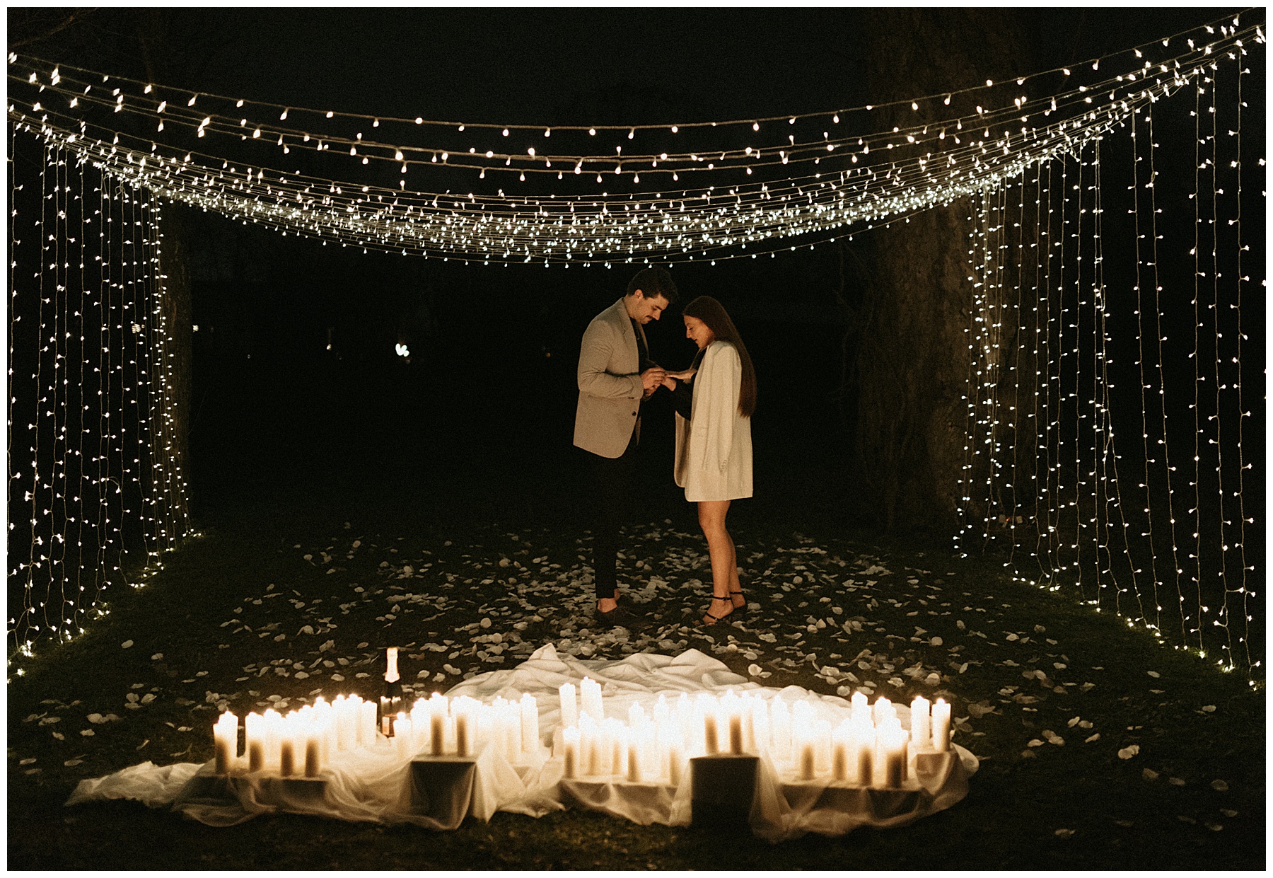 backyard string light proposal