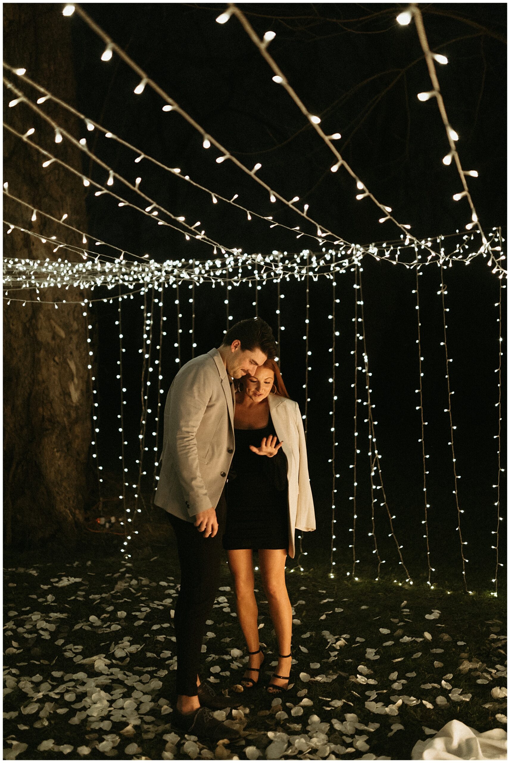 backyard string light proposal