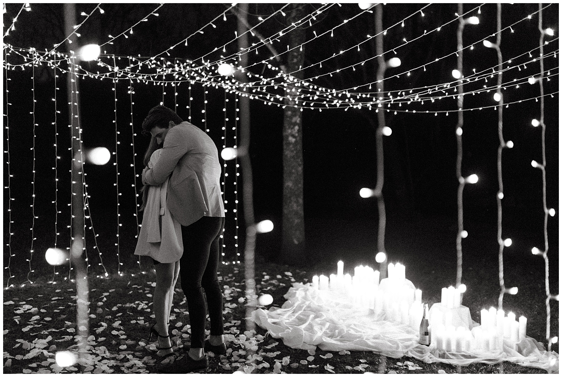 backyard string light proposal