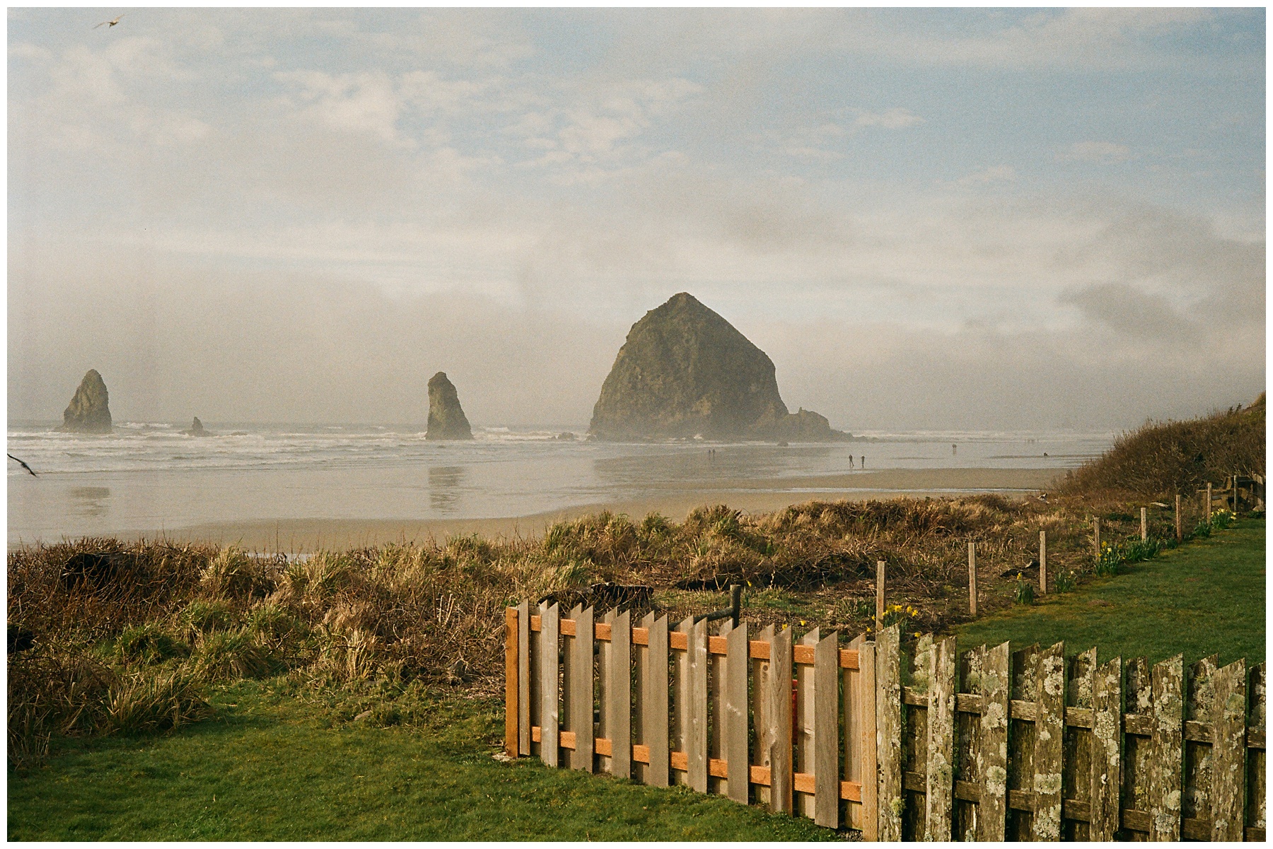 oregon coast film wedding photographer